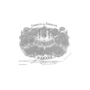 H Upmann Corona Junior - Pack of 3 Tubed