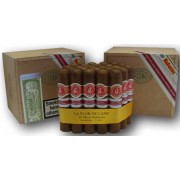 La Flor de Cano Short Robusto (2010 UK Limited Edition) - Pack of 25