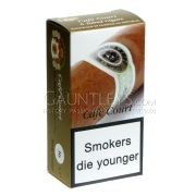 Macanudo Caf� Court - Pack of 6 Tubed