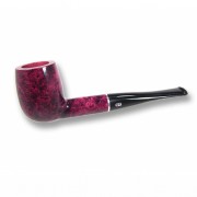 Chacom Salsa 186