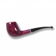 Chacom Salsa 810