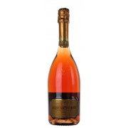 2008 Agusti Torello Rosat