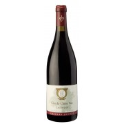 2009 Charles Joguet Chinon Clos du Chene Vert