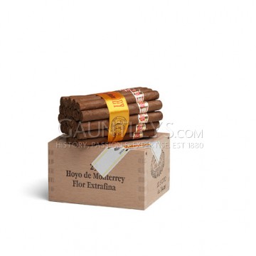 Le Hoyo Du Marie - Pack of 25