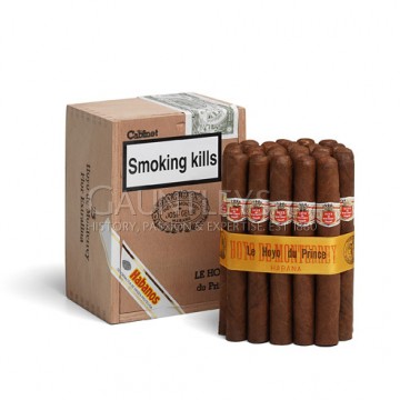 Le Hoyo Du Prince - Pack of 25