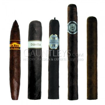 Gauntleys Mixed Cigar Sampler Packs Maduro Taster - Pack of 5