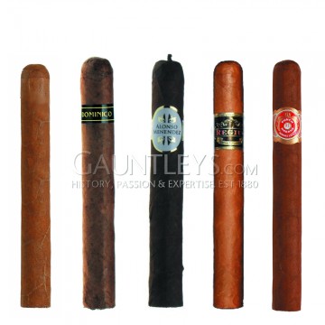 Gauntleys Mixed Cigar Sampler Packs World Petit Corona Taster - Pack of 5