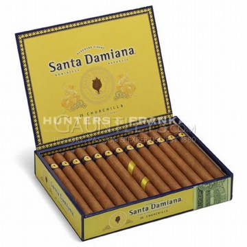 Santa Damiana Churchill - Pack of 25