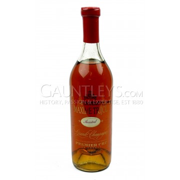 Maxime Trijol Ancestral 46%
